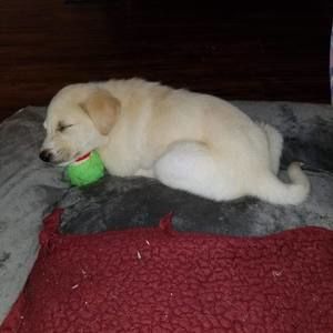 Meet your Posher, Kerry